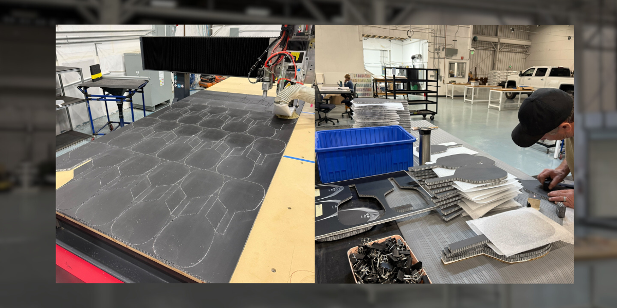 Pickleball Paddle industry insight