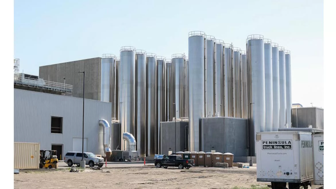 Pioneer in the processing of milk and dairy products