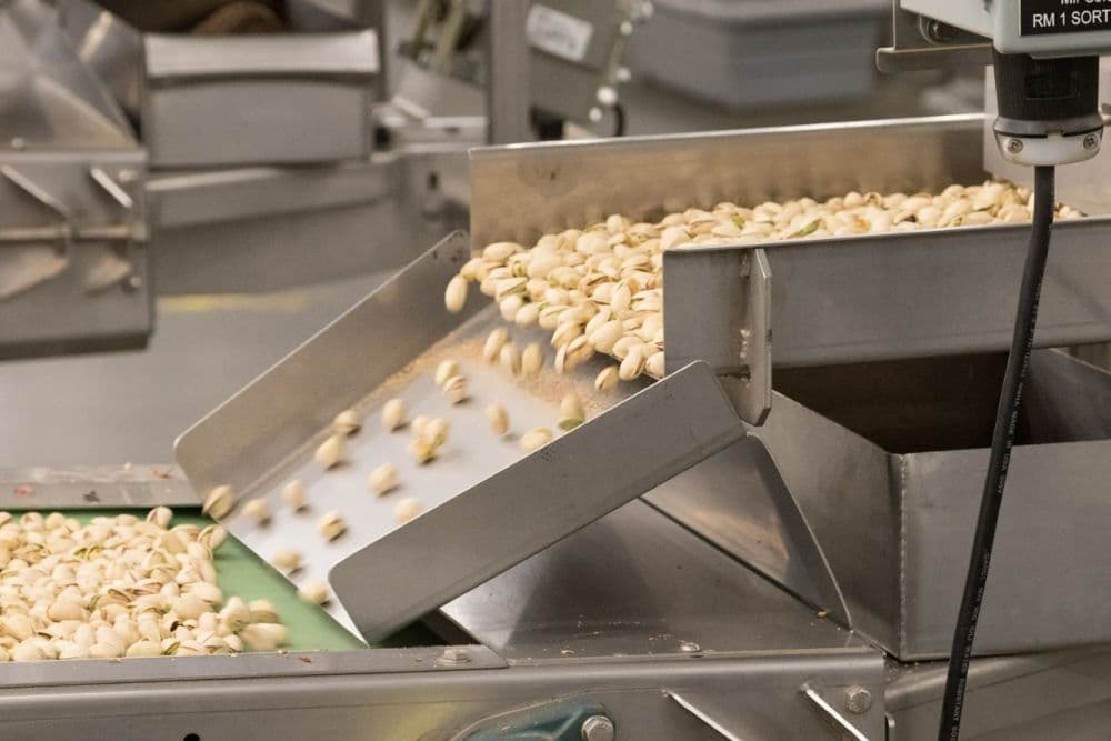 Pistachio industry insight