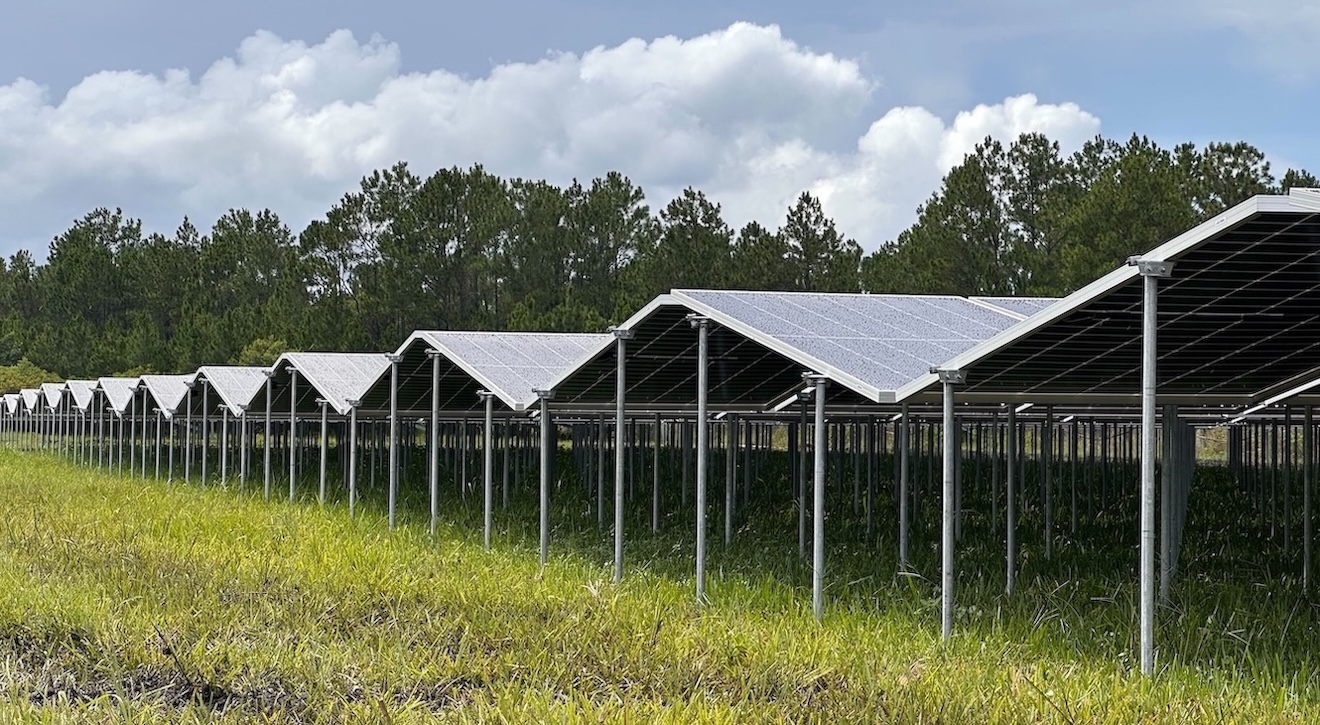 Planted Solar