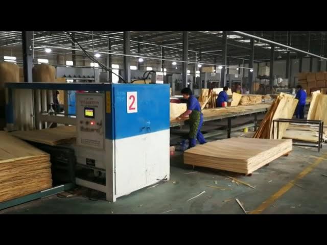 Plywood In Usa industry insight