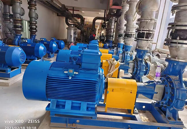 Pool Pump industry insight