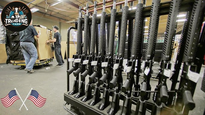 Popular Gun industry insight