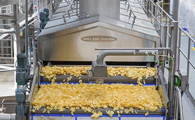 Potato Chip industry insight