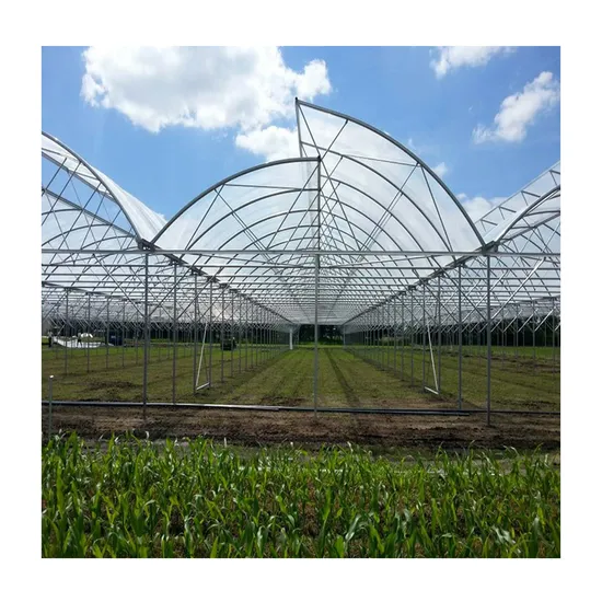 Premium Sawtooth Greenhouse