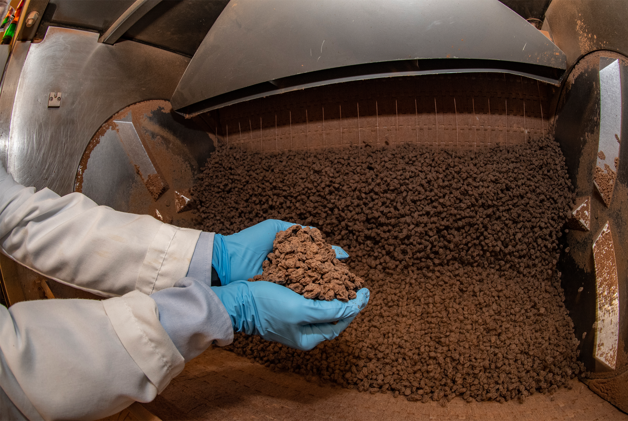 Private Label Chocolate industry insight