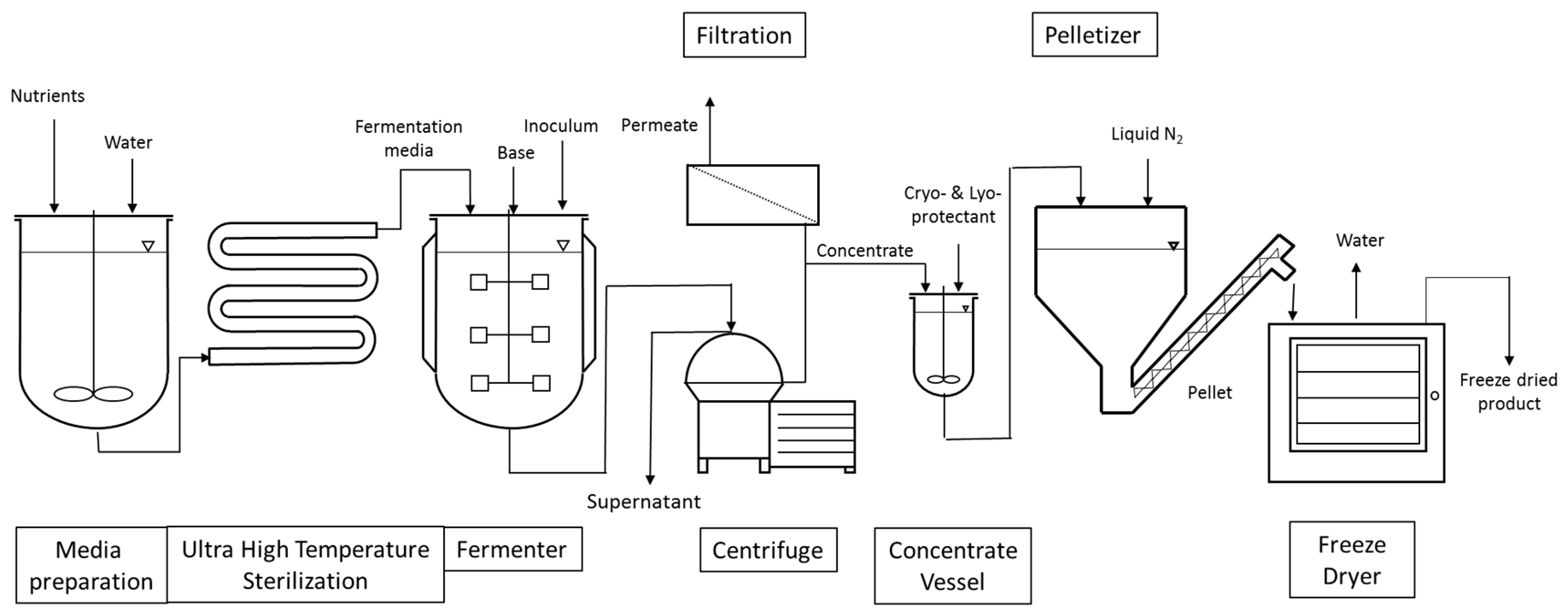 Probiotics Enzymes industry insight