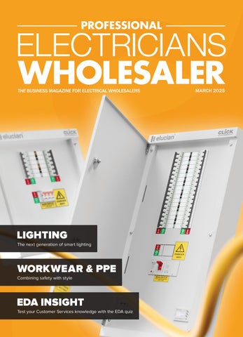 Professional Electricians Wholesaler March 2025