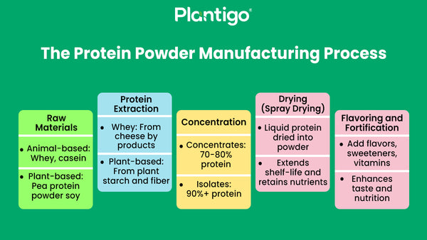 Protein Powder industry insight