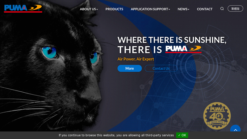 PUMA AIR COMPRESSOR
