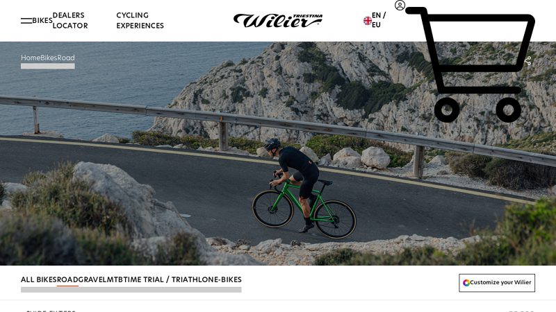 Racing, Leisure ore Endurance Road Bike