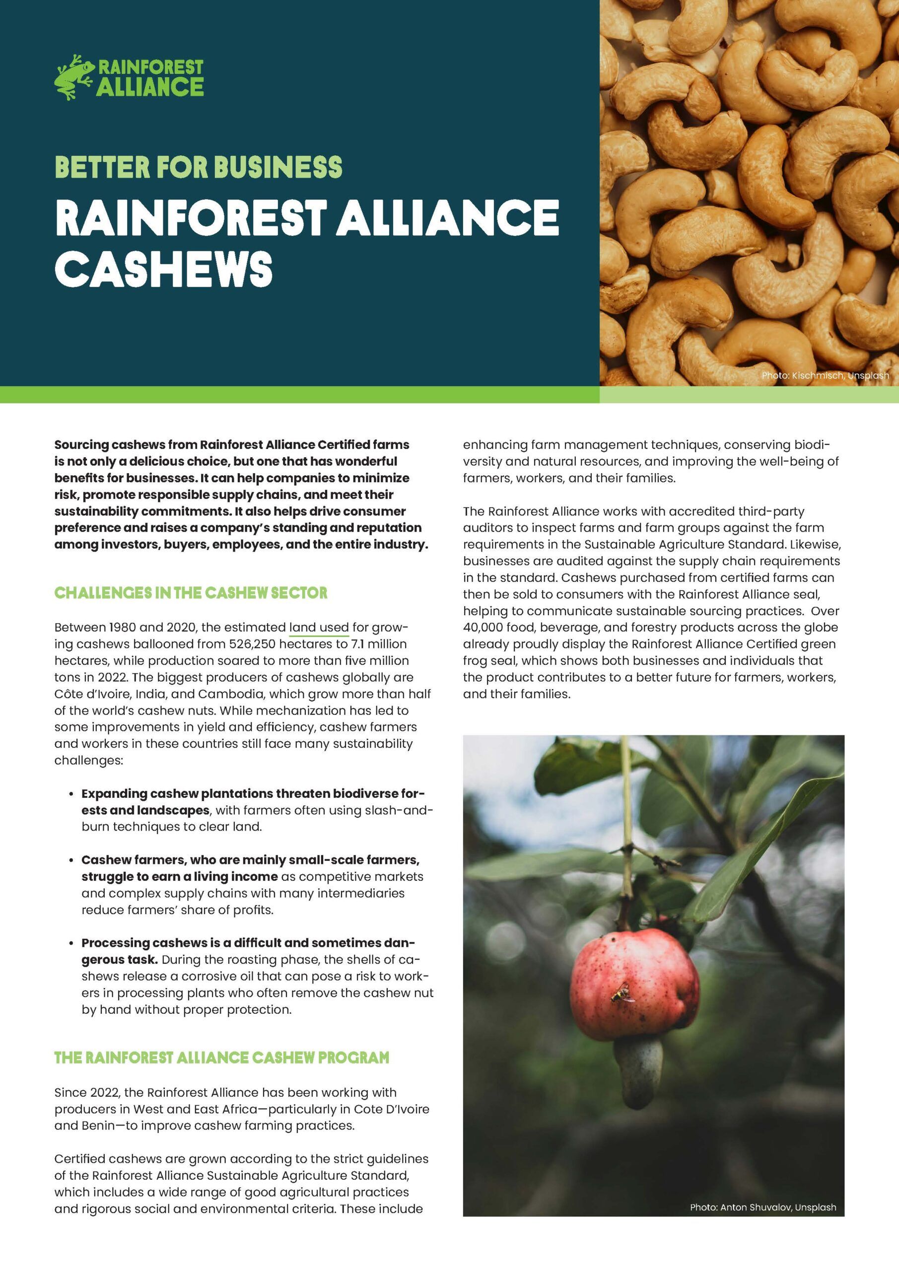 Rainforest Alliance Certified Cashews