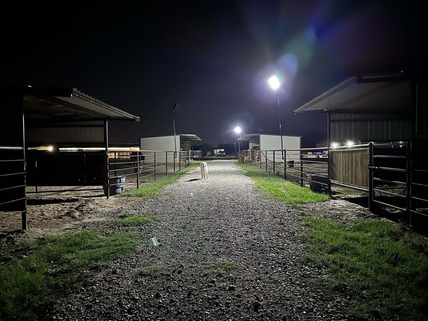 Ranch Hand Solar Lighting