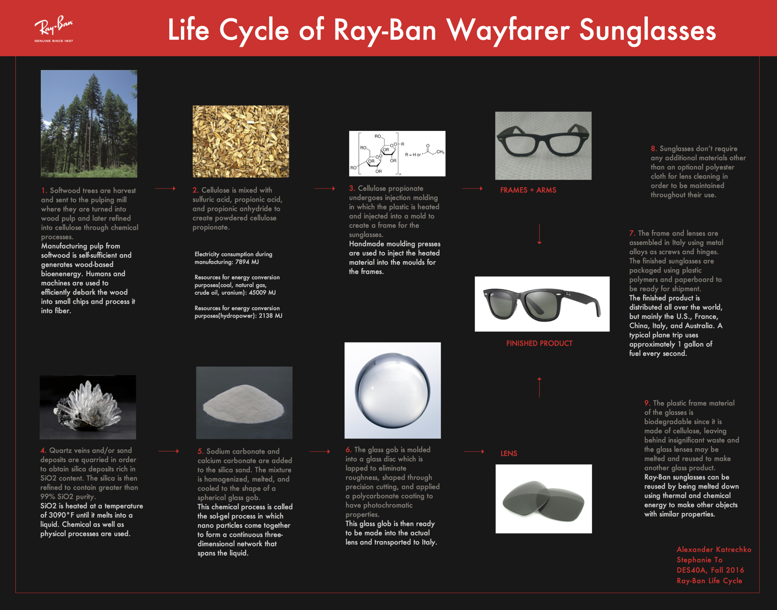Ray Ban industry insight