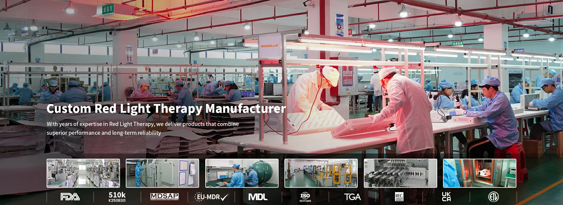 Red Light Therapy industry insight