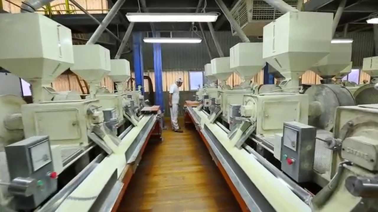 Rice industry insight