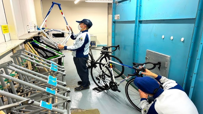 Road Bike industry insight