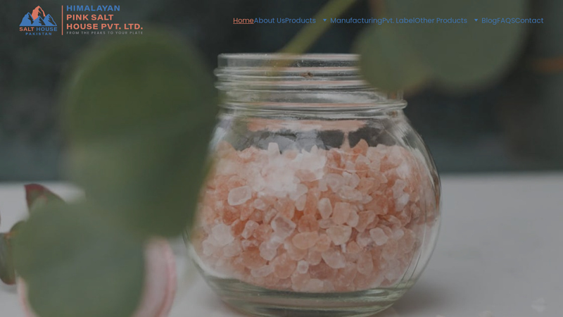 Salt House Pakistan