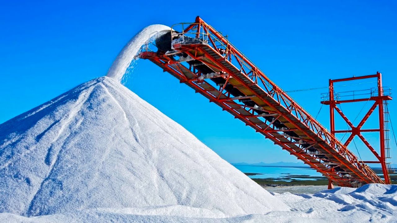 Salt industry insight