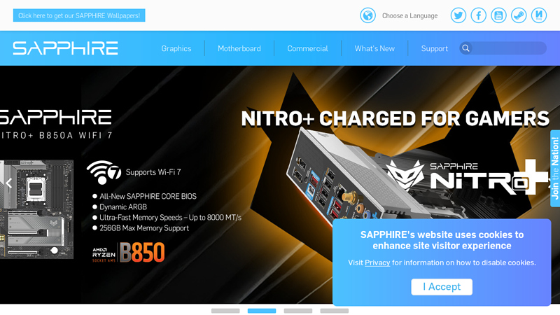 SAPPHIRE Technology Limited