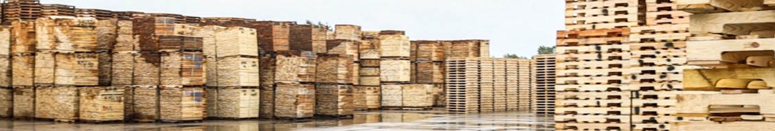 Savanna Pallets