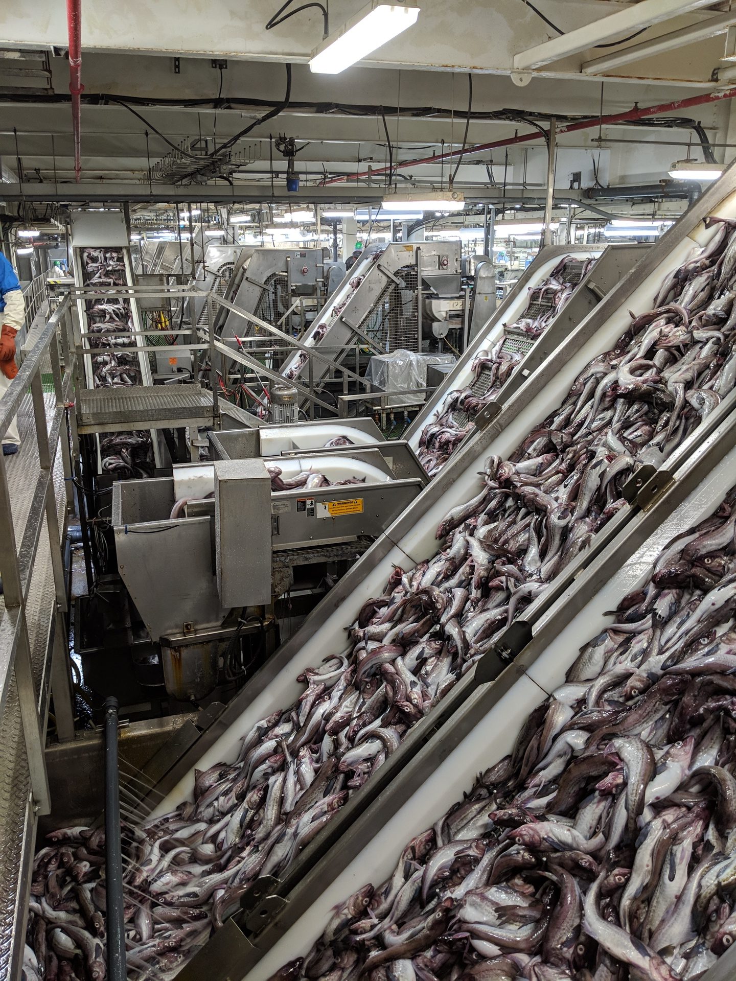 Seafood In Usa industry insight