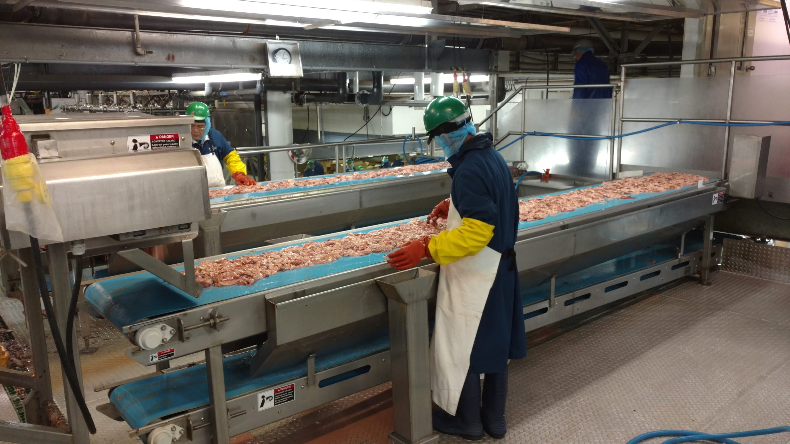 Seafood In Usa industry insight
