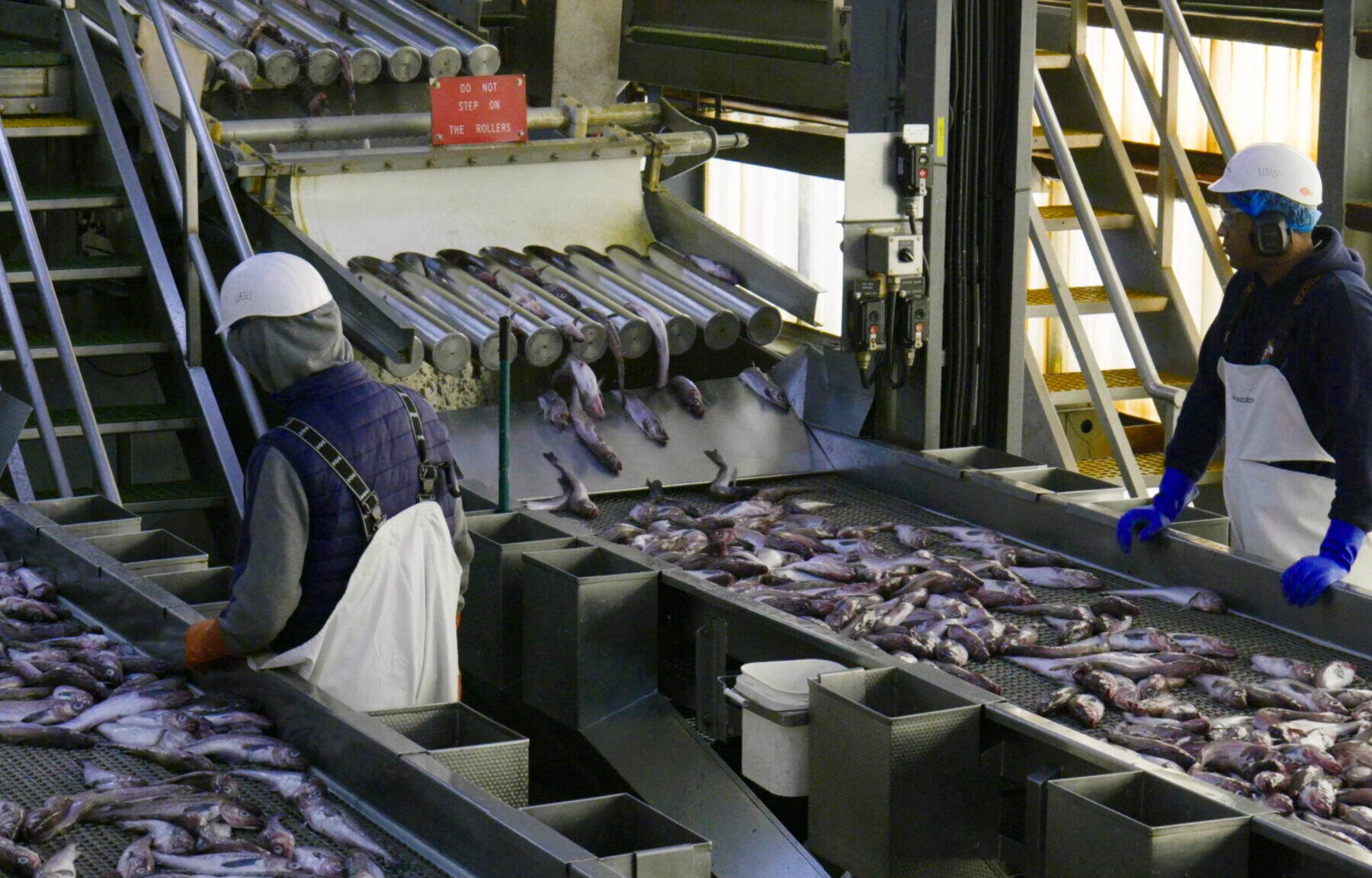 Seafood In Usa industry insight