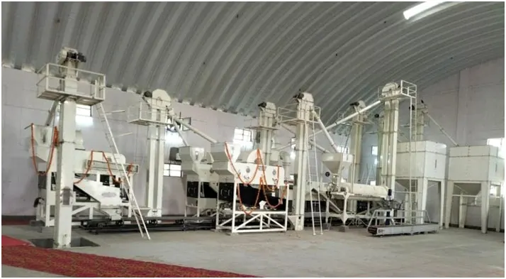 Seed industry insight