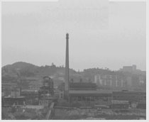 Shanghai Tenbro Bamboo Textile Co.,Ltd.