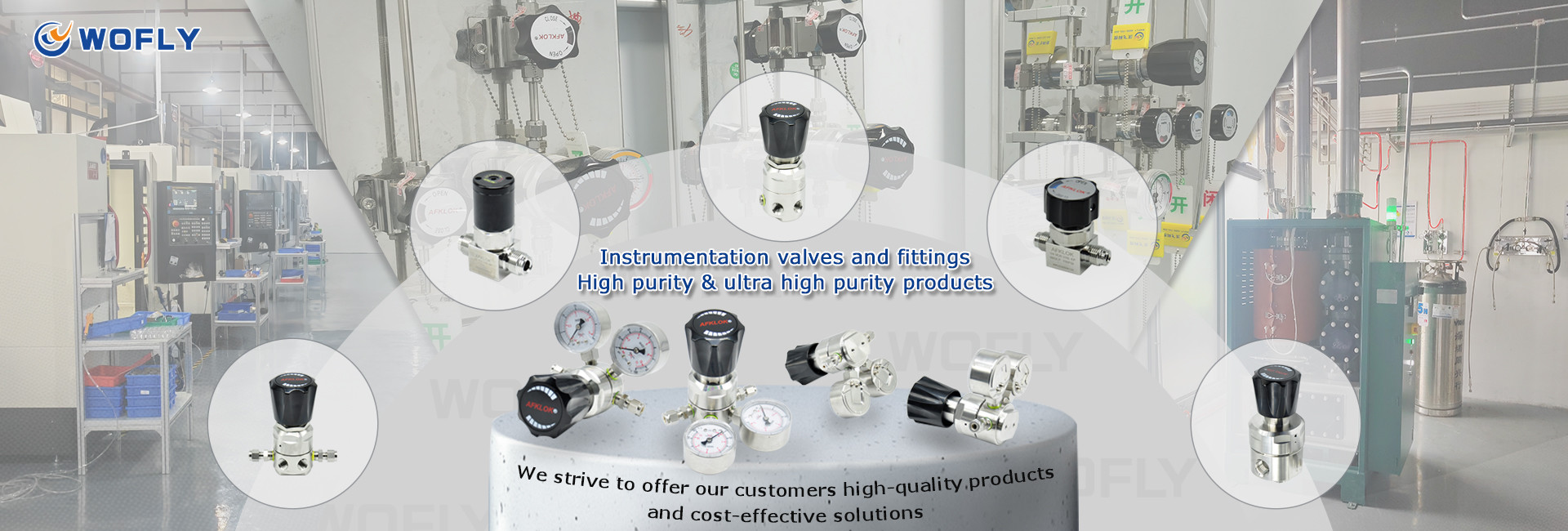 Shenzhen Wofly Technology Co., Ltd.
