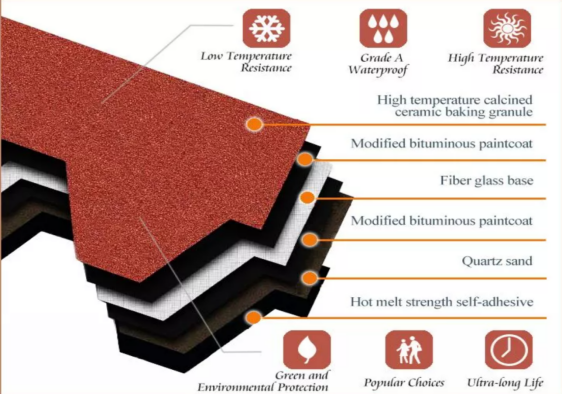 Shingles Overview