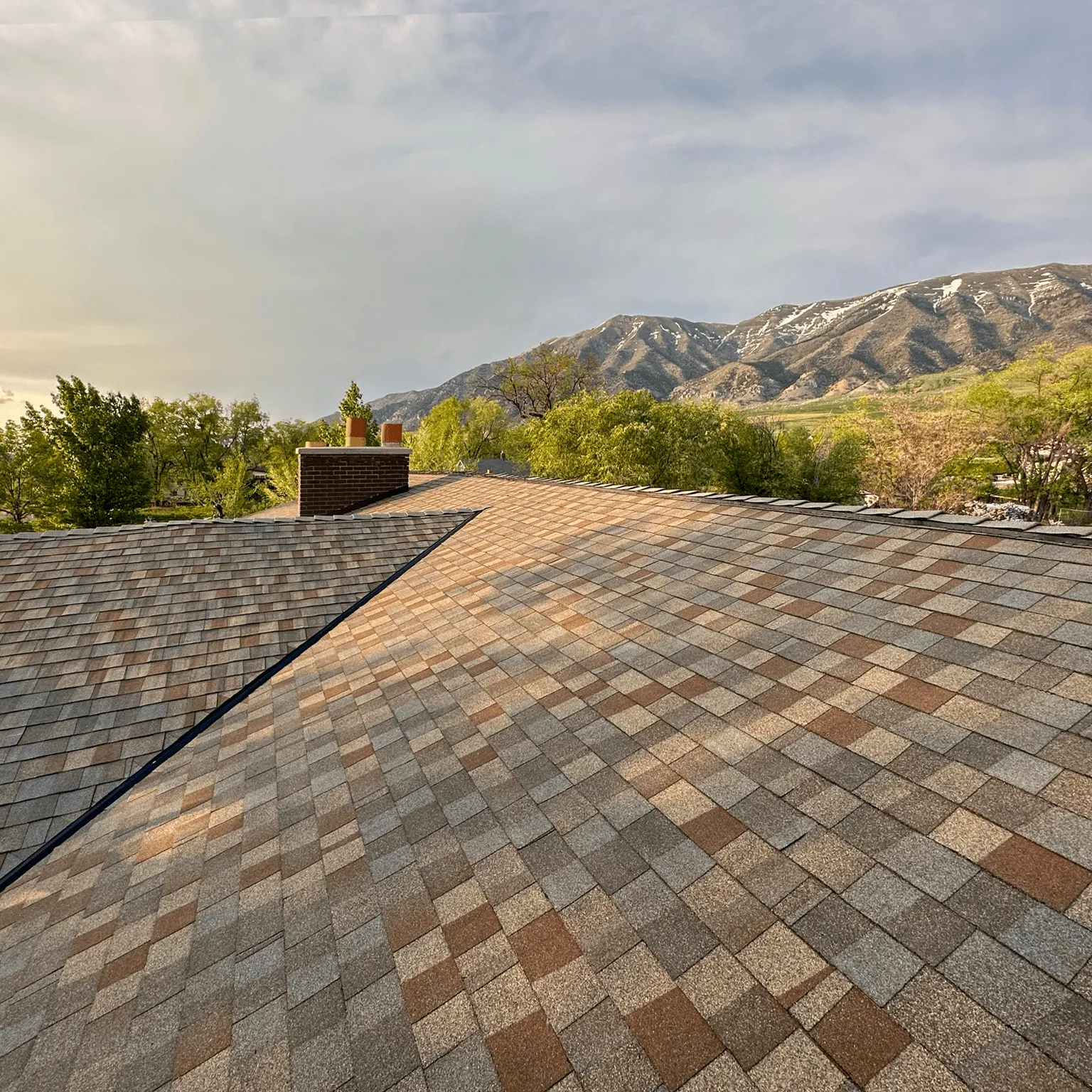 Shingles Overview