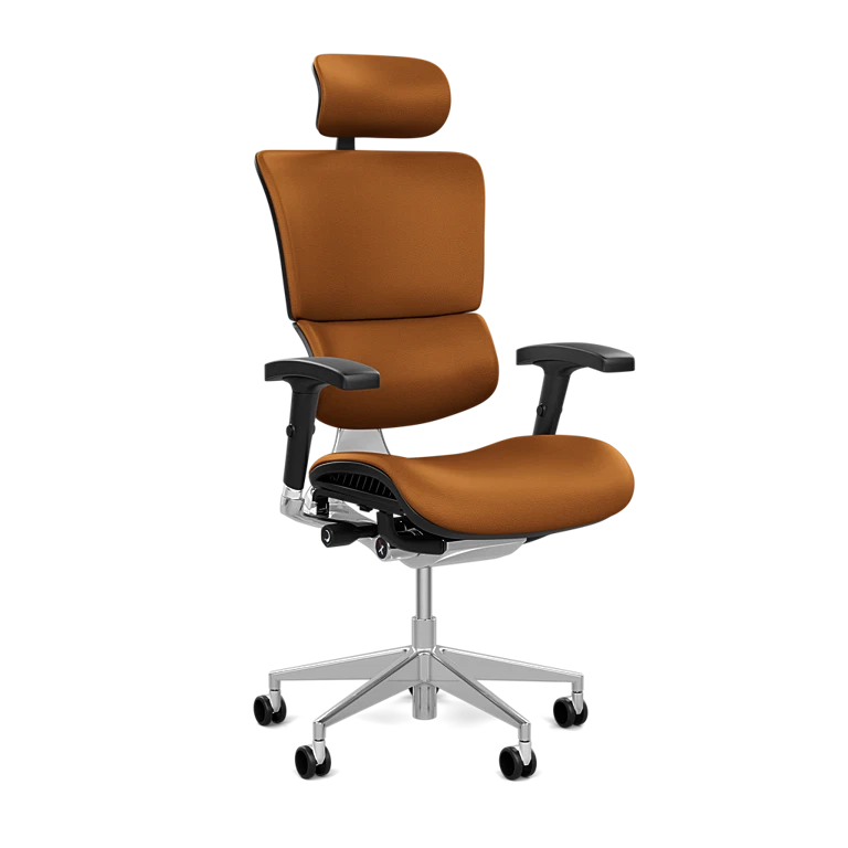 Shop X-Chair Office Chairs and Accessories