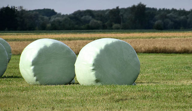 Silage Film Wrap