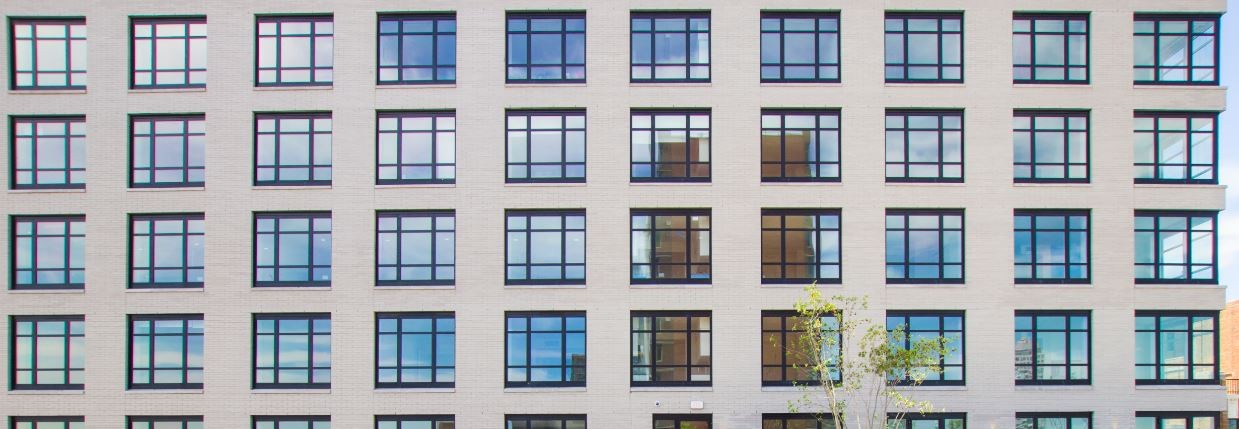 Skyline Windows