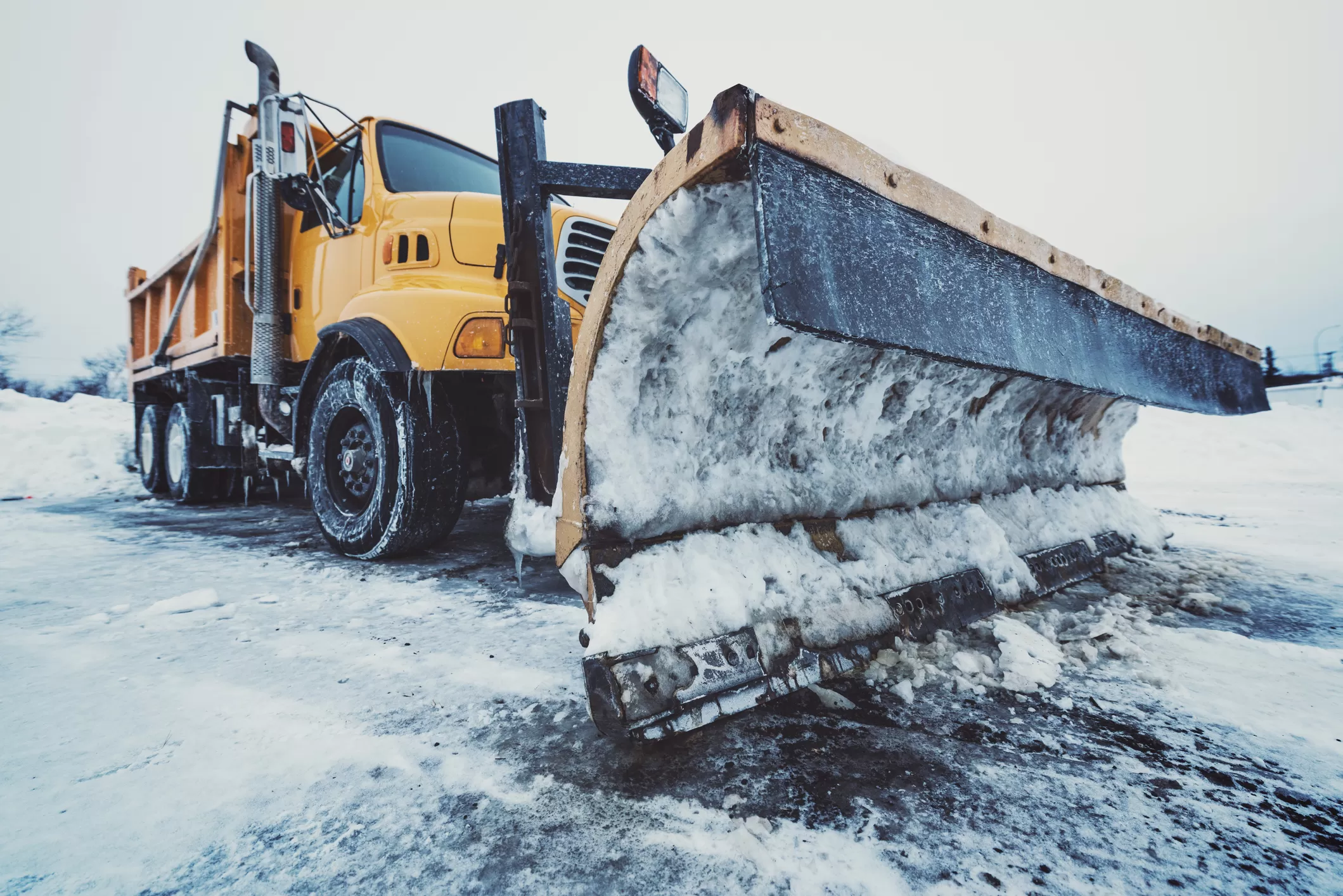 Snowplows & Spreaders