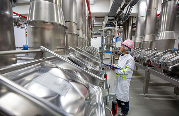 Soft Drinks Flavours industry insight