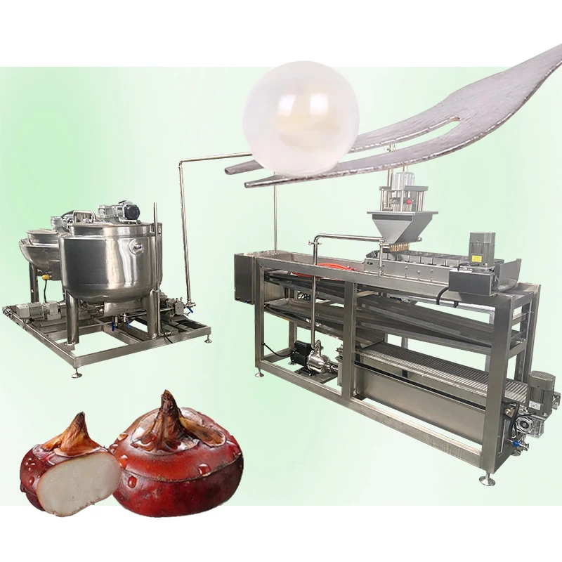 agar supplier