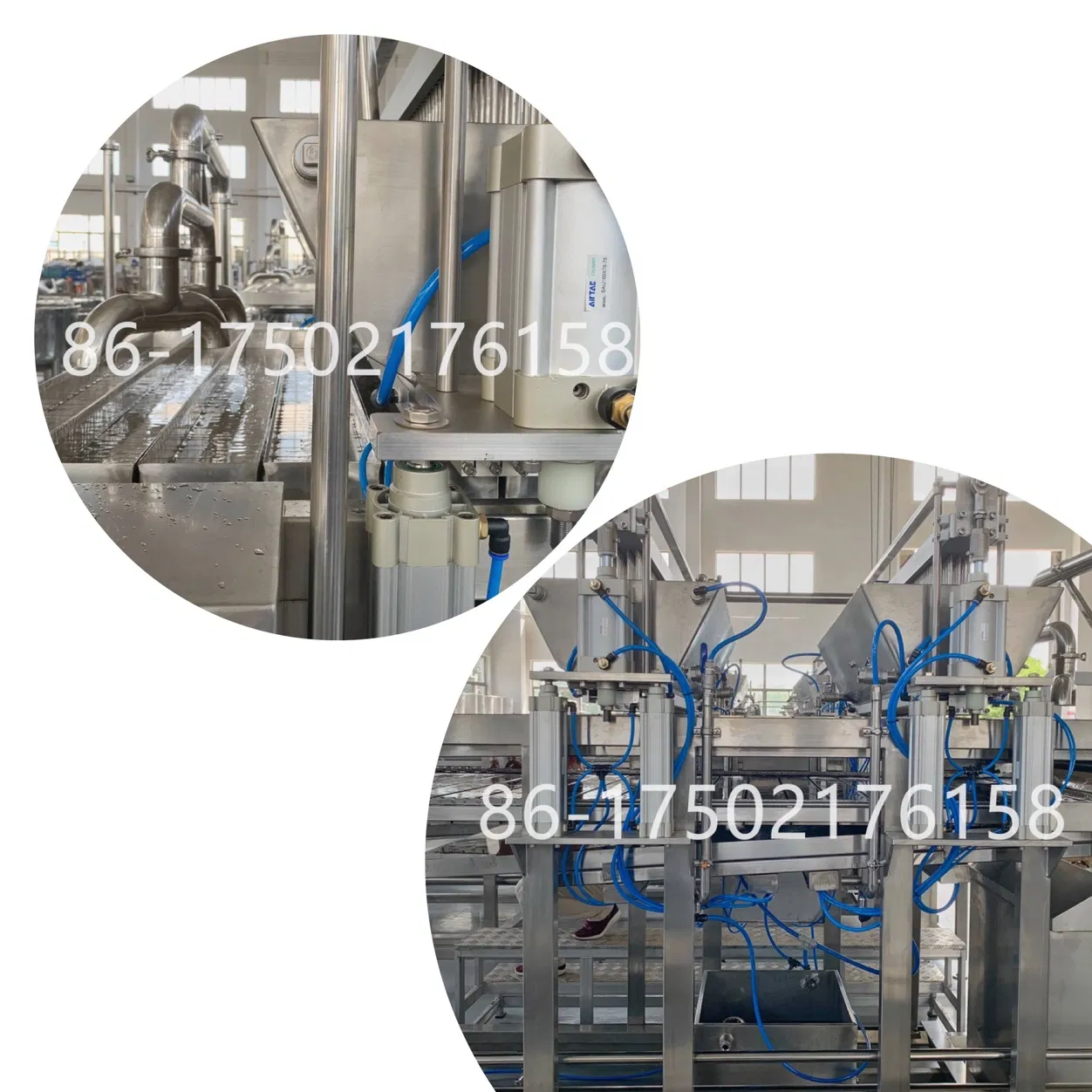 boba milk tea supplier