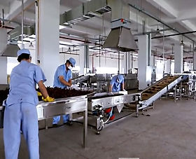 botanical extracts supplier from india
