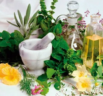 botanical extracts supplier from india