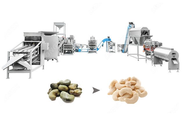 Sourcing Cashew Ingredients Supplier from China: The Ultimate Guide 2026