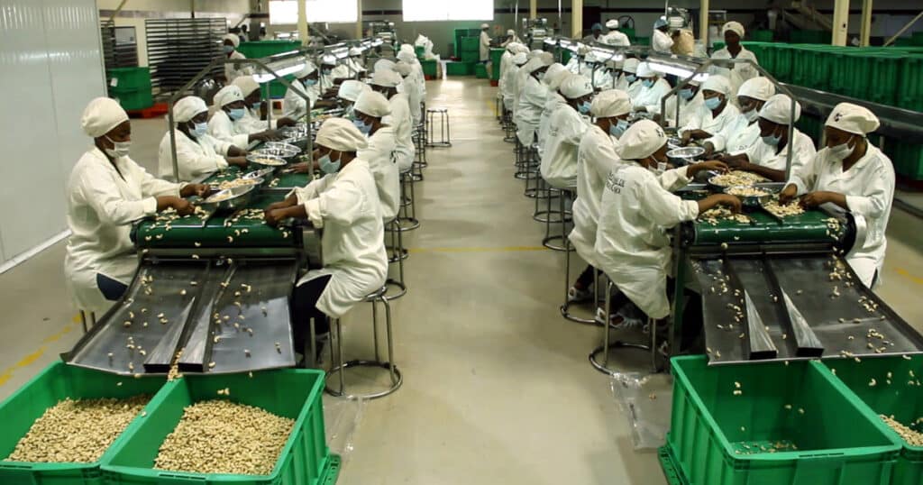 cashew ingredients supplier