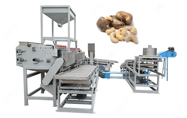 cashew supplier