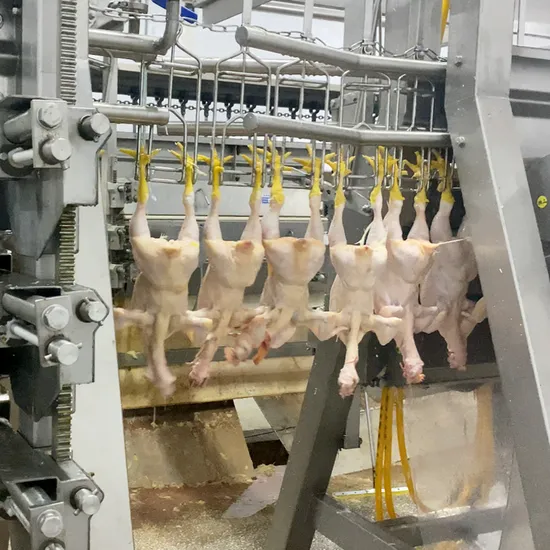 chicken supplier