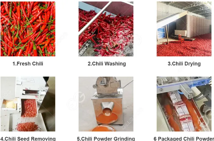 chili powder supplier