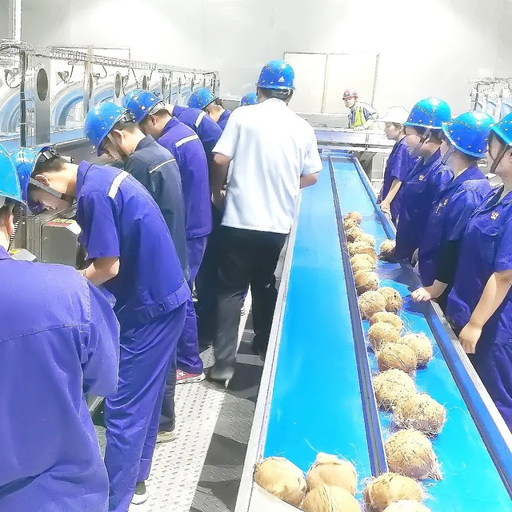 coconut milk supplier thailand