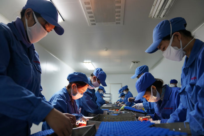 comparator drugs supplier
