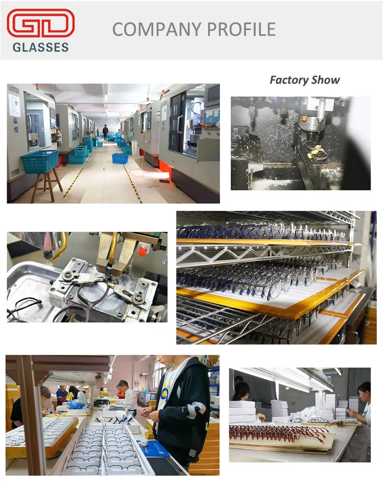 contact lenses supplier